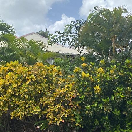 Bungalow Belfond Plage Pointe Marin サンタンヌ エクステリア 写真
