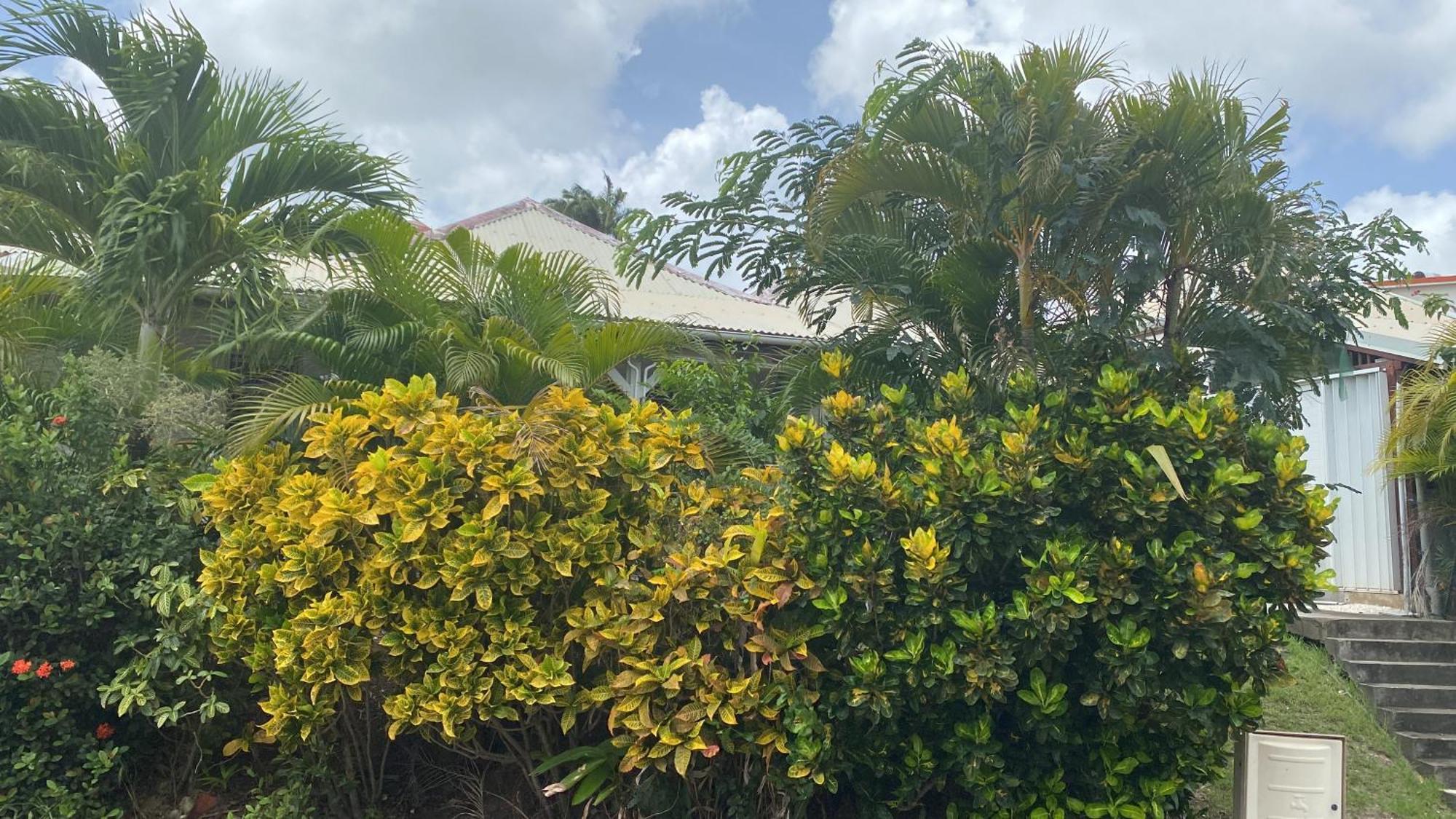 Bungalow Belfond Plage Pointe Marin サンタンヌ エクステリア 写真
